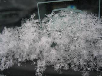 綿雪.JPG