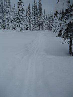IMG_2228.JPG