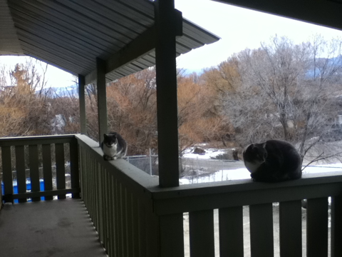 image-20110205午前051436.png